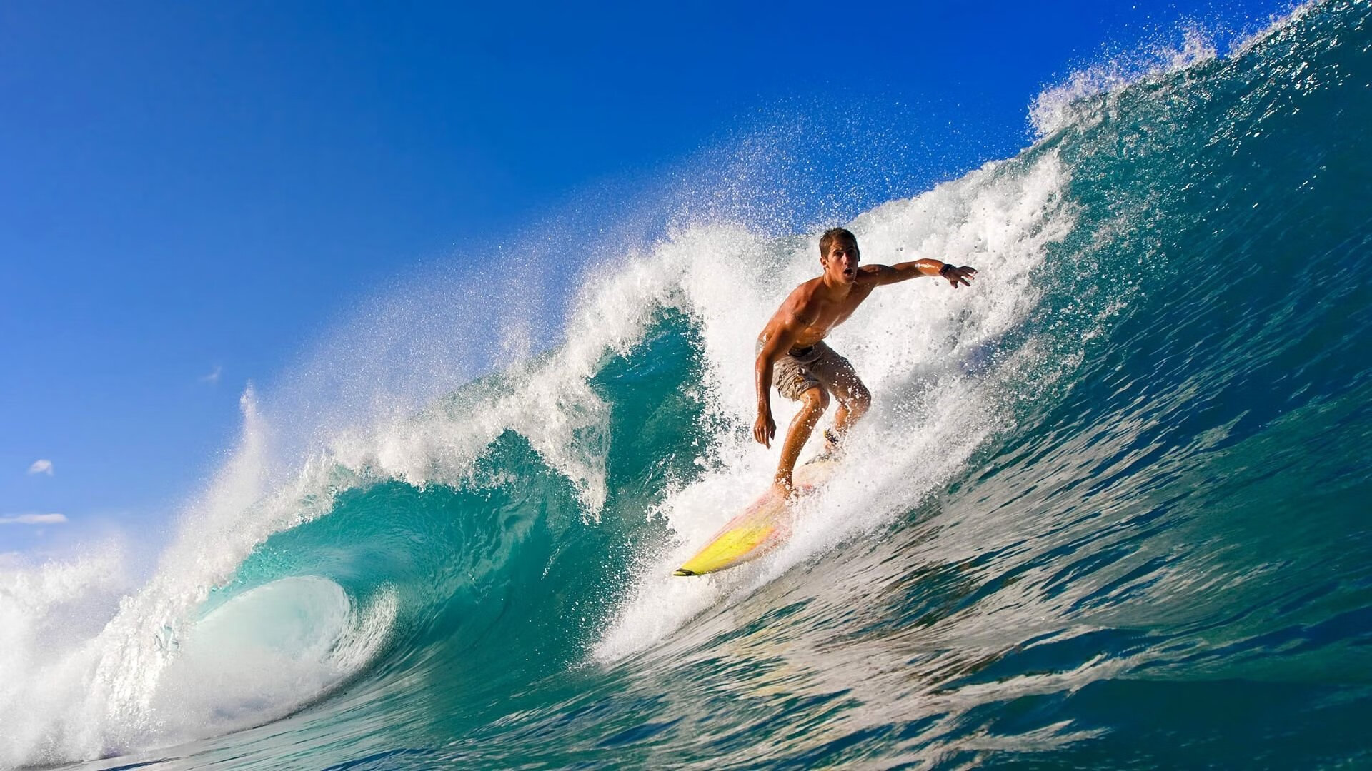 体育新闻中心发布体育创作者扶持政策细则,体育行业新闻